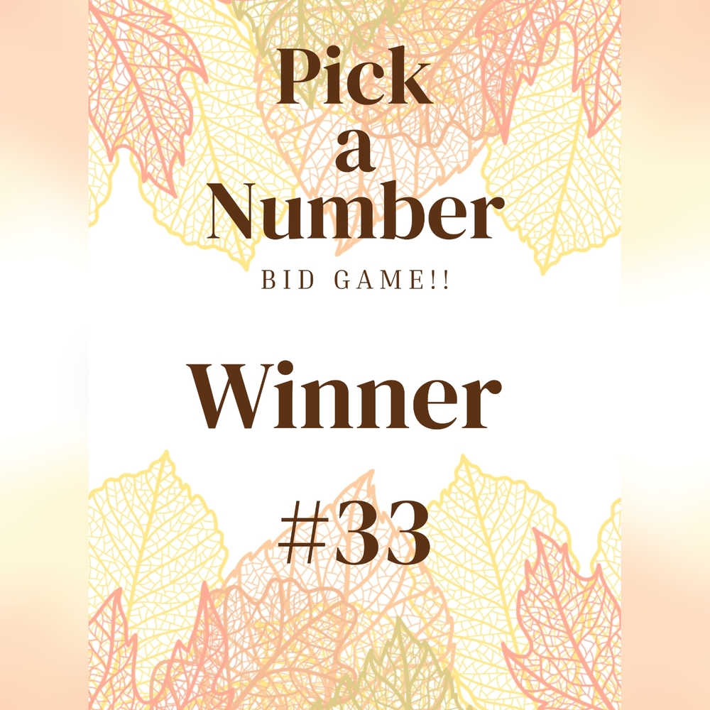 Winner #33